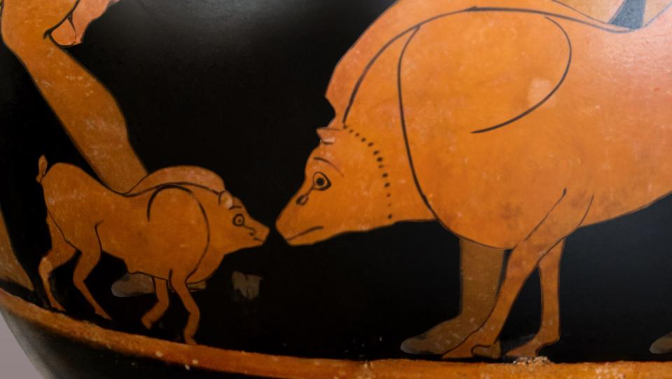 Two pigs face to face on a red figure vase